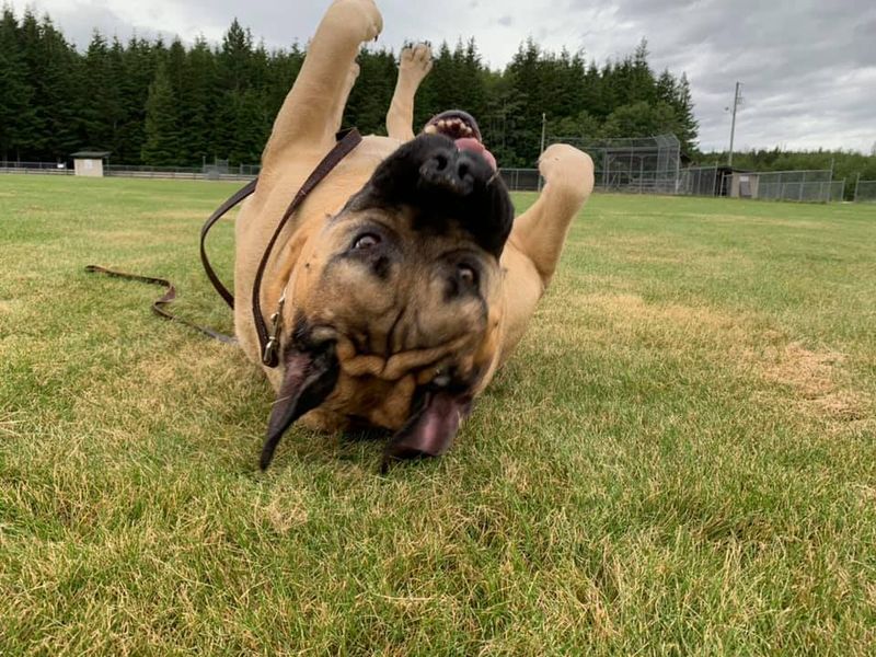 Industrial Fabrication